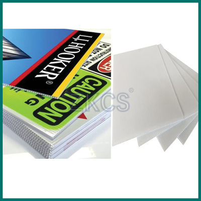 Eco-Friendly PP Hollow Sheet for Packaging & Protection